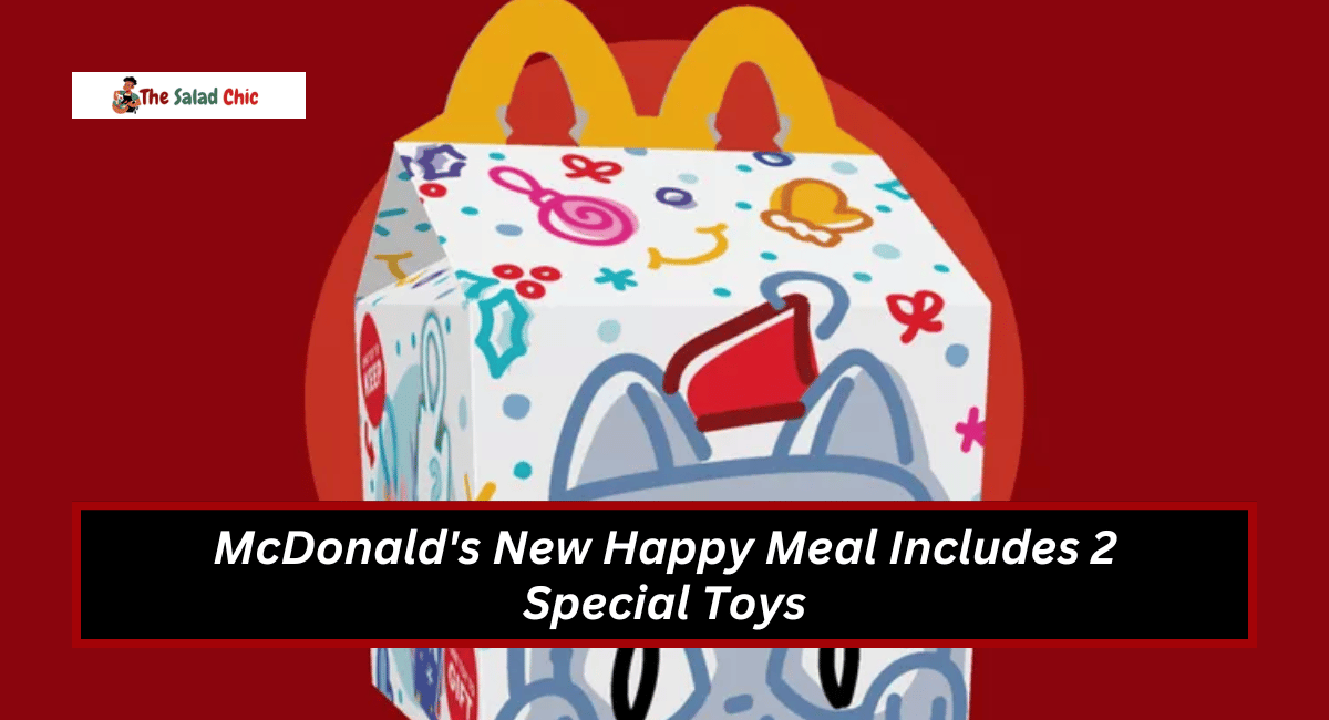 McDonald's New Happy Meal Includes 2 Special Toys