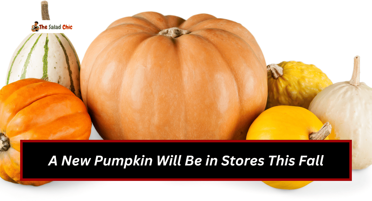 A New Pumpkin Will Be in Stores This Fall