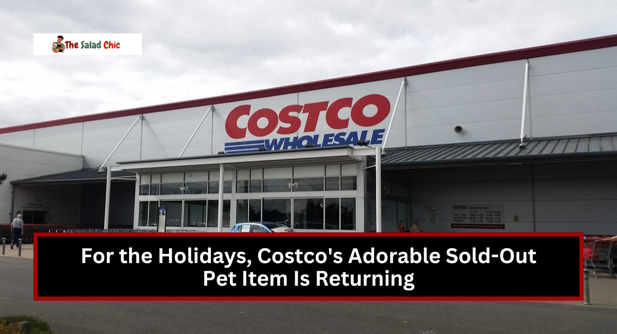 For the Holidays, Costco's Adorable Sold-Out Pet Item Is Returning